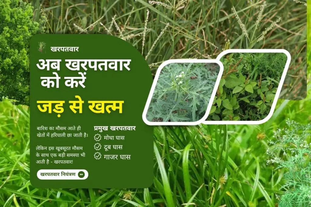 अब खरपतवार को करें जड़ से खत्म | Now eliminate kharpatwar from the roots. 1 Now eliminate weeds from the roots.