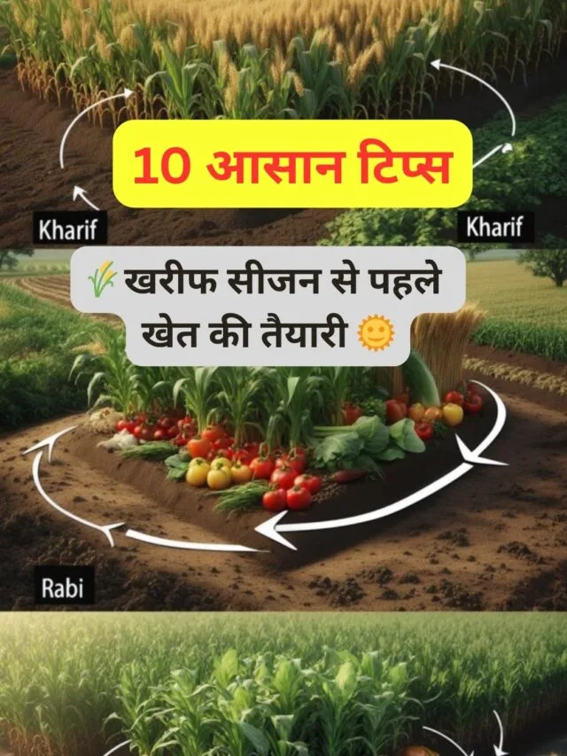 field preparation before Kharif season