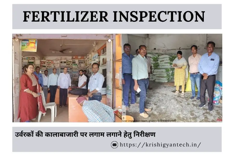 Fertilizer Inspection : सयुक्त संचालक कृषि द्वारा कृषि केन्द्रो और फसल प्रदर्शन का निरीक्षण किया गया। 2 Fertilizer Inspection & Paddy Demonstration