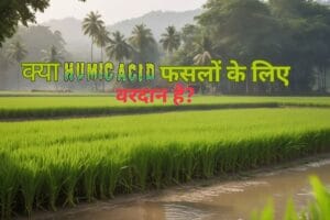 Read more about the article क्या Humic Acid फसलों के लिए वरदान साबित हो सकता है?