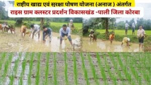 Read more about the article Rice Demonstration : पाली के कृषि अधिकारियों ने धान रोपाई कर महिला किसानों को दी उन्नत तकनीक की जानकारी !